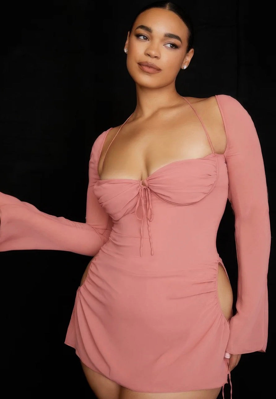 Long Sleeve Blush Mini Dress