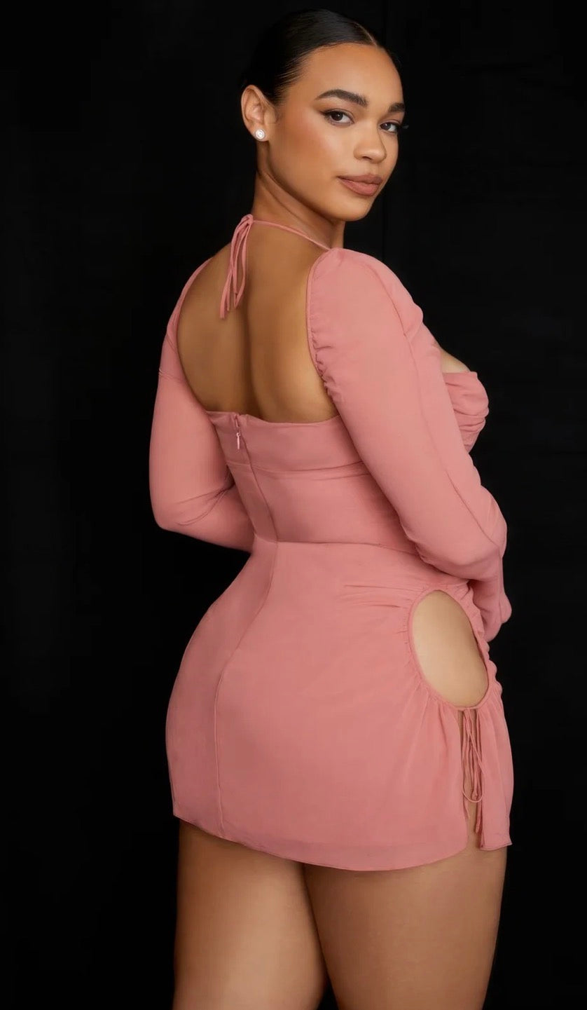 Long Sleeve Blush Mini Dress
